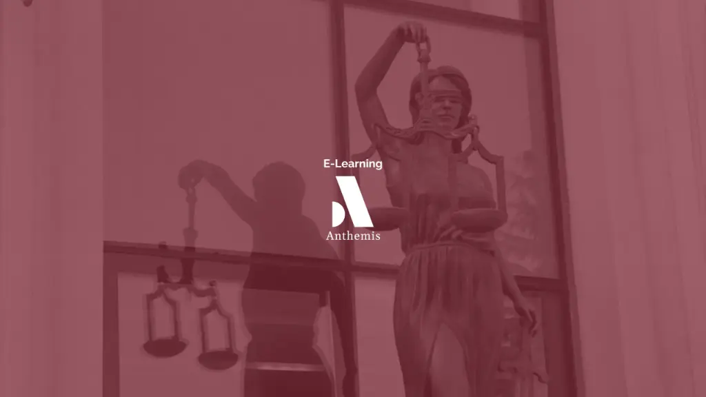 E-Learning - La protection judiciaire : regard critique dix ans après la réforme